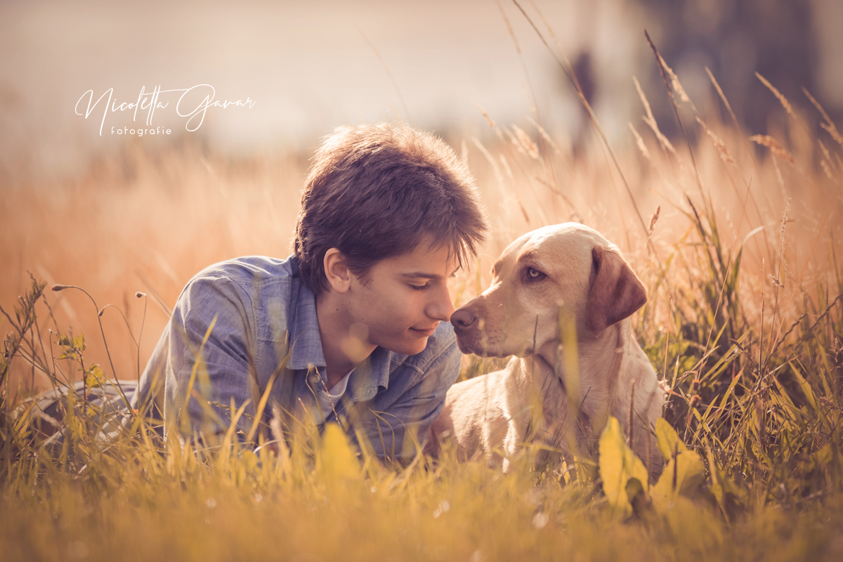 Junge mit Labrador in der Wiese