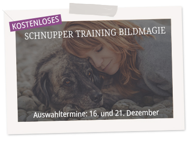 Banner Schnupper-Training Bildmagie
