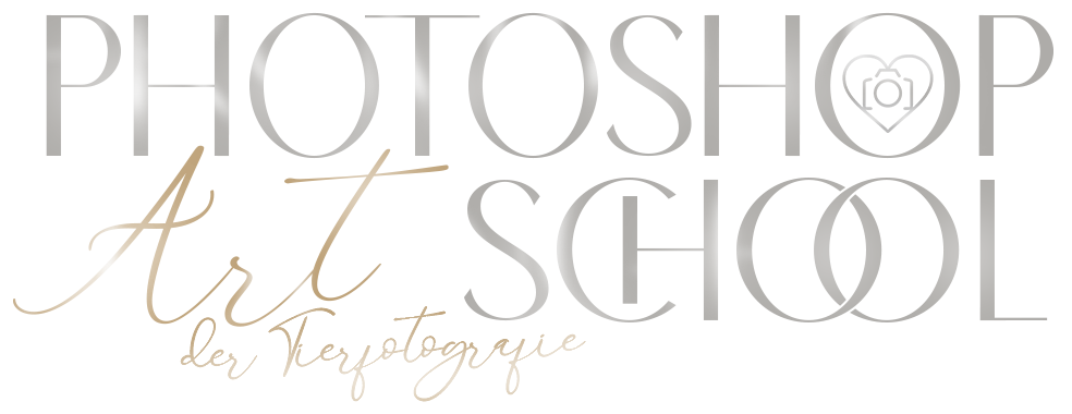 Logo Photoshop Art School